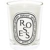 Diptyque Bougie Parfumee Roses Maison