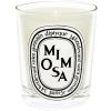 Diptyque Bougie Parfumee Mimosa Maison