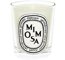 Diptyque Bougie Parfumee Mimosa Maison