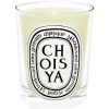 Diptyque Bougie Parfumee Choisya Maison