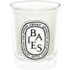 Diptyque Bougie Parfumee Baies Maison